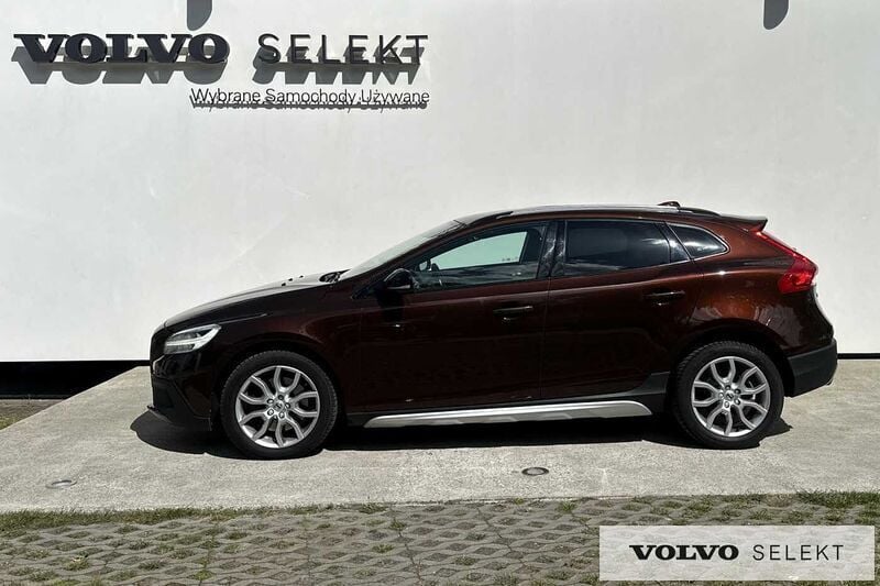 Obraz 3/3