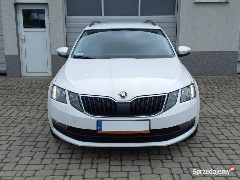Używany Skoda Octavia 2019 Biały Sedan/Limuzyna