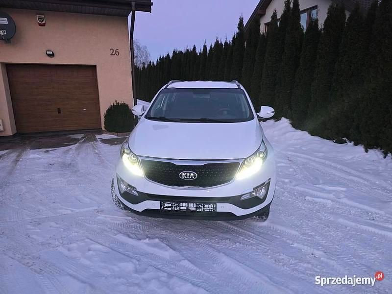 Używany Kia Sportage Vision 2015 Biały SUV