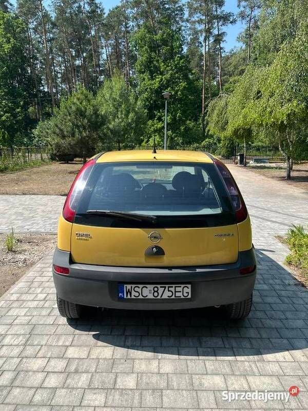 Obraz 3/4