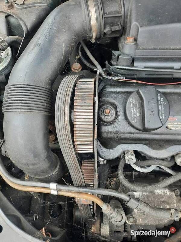 Używany 2001 VW Polo | 1500 zł - Obraz 1/4