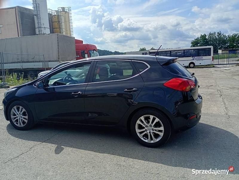 Używany 2015 Kia Ceed Hatchback | 34 900 zł (Dość drogi) - Obraz 1/4