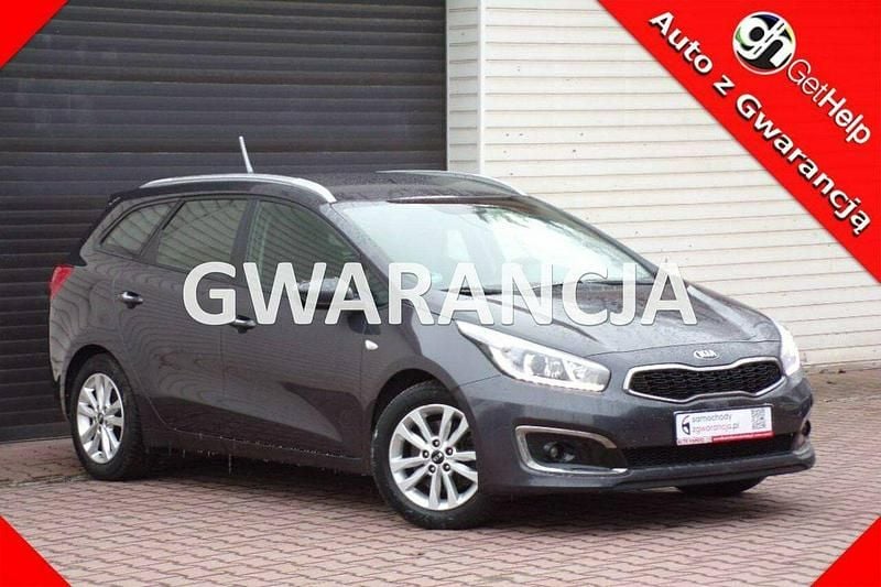 Szary Używany 2016 Kia Ceed Hatchback | 36 900 zł (Uczciwa cena) - Obraz 1/4