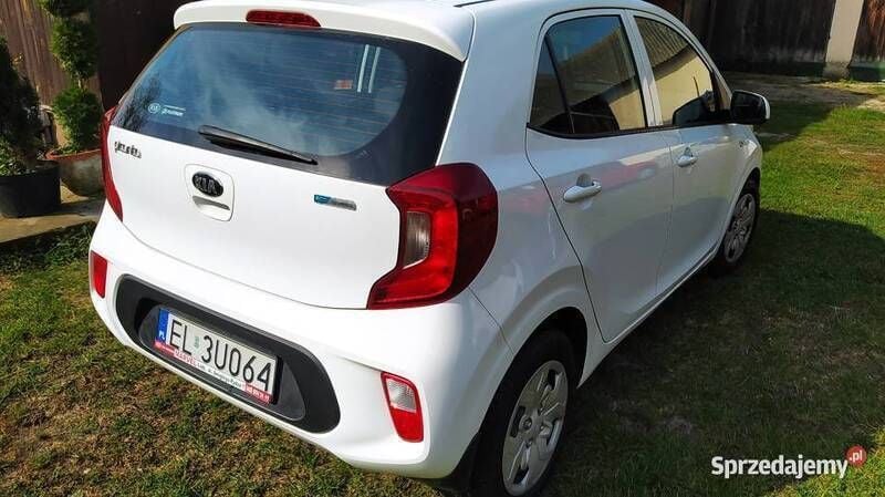 Używany Kia Picanto 67 KM (49 kW) 2019 Hatchback