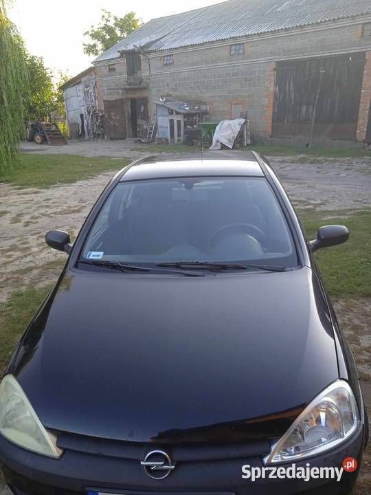 Obraz 2/4