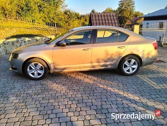 Używany 2018 Skoda Octavia | 49 700 zł (Dobra cena) - Obraz 1/1