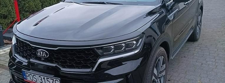 Używany Kia Sorento 256 KM (188 kW) 2020 Czarny SUV