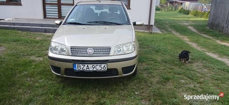 Używany 2008 Fiat Punto Hatchback | 7800 zł - Obraz 1/4