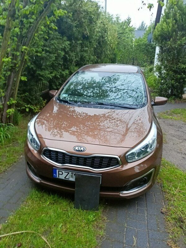 Brązowy (metalik) Używany 2015 Kia Ceed 2 Hatchback | 41 300 zł (Uczciwa cena) - Obraz 1/4