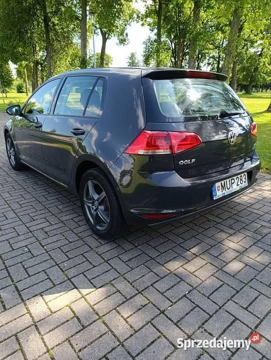 Szary Używany 2014 VW Golf VII Hatchback | 26 900 zł (Uczciwa cena) - Obraz 1/4