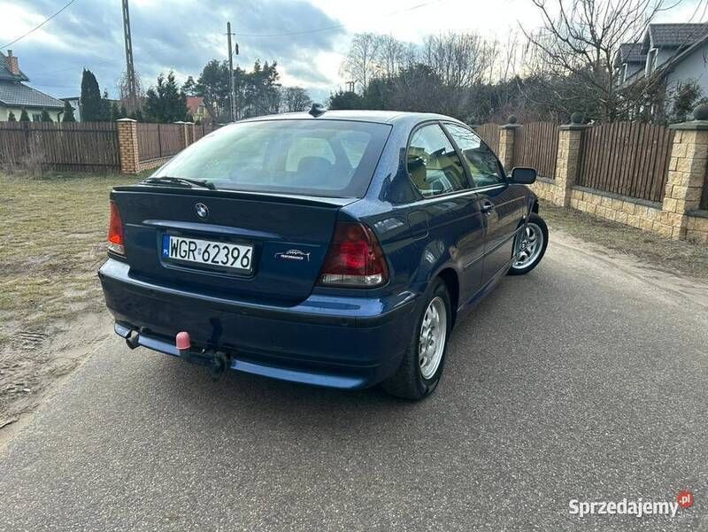 Obraz 3