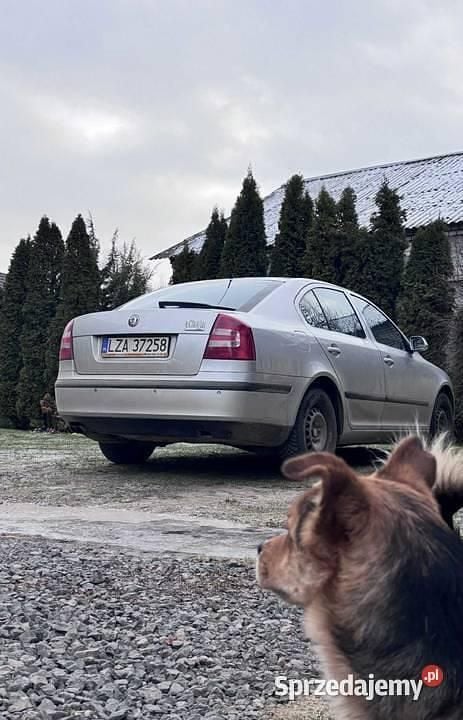 Używany 2006 Skoda Octavia | 15 000 zł (Uczciwa cena) - Obraz 1/3