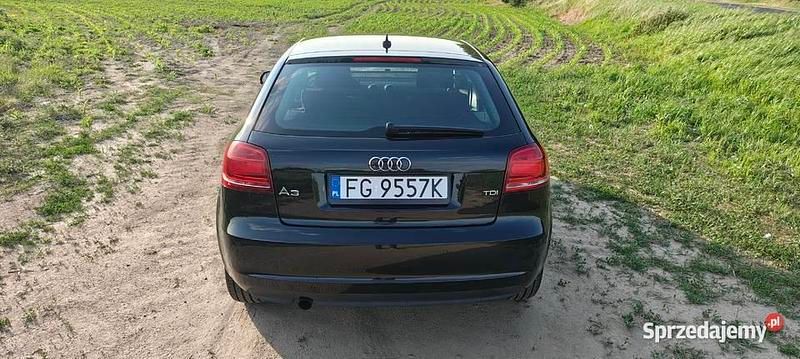 Używany Audi A3 140 KM (102 kW) 2011 Hatchback