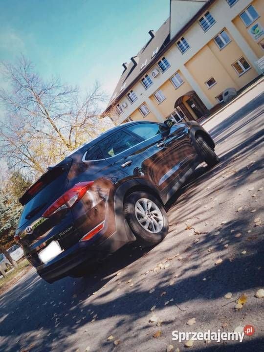 Obraz 2/4