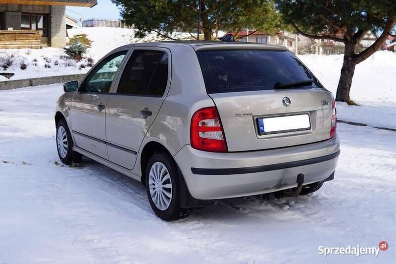 Beżowy Używany 2004 Skoda Fabia Hatchback | 9999 zł (Drogi) - Obraz 1/4