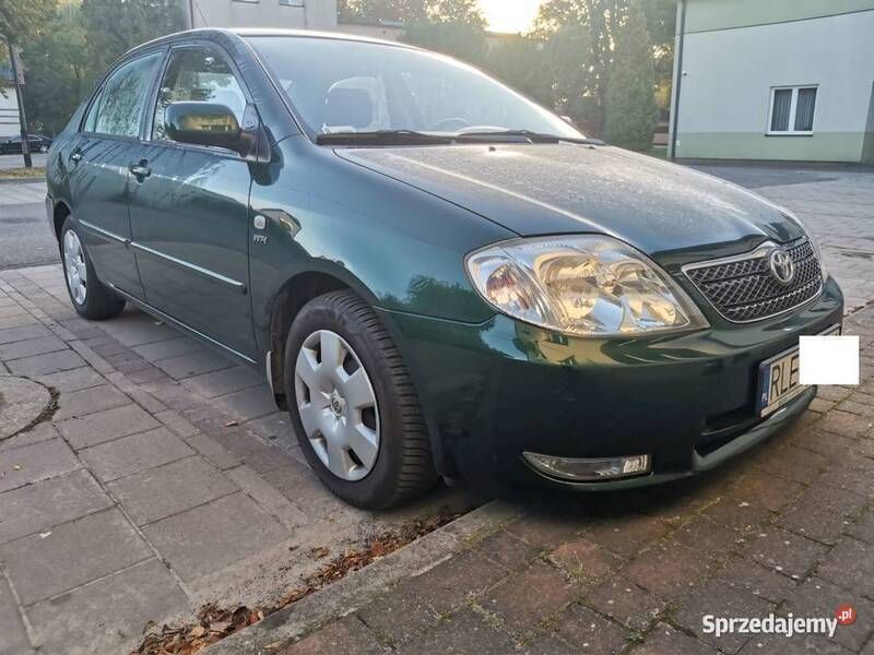 Obraz 3