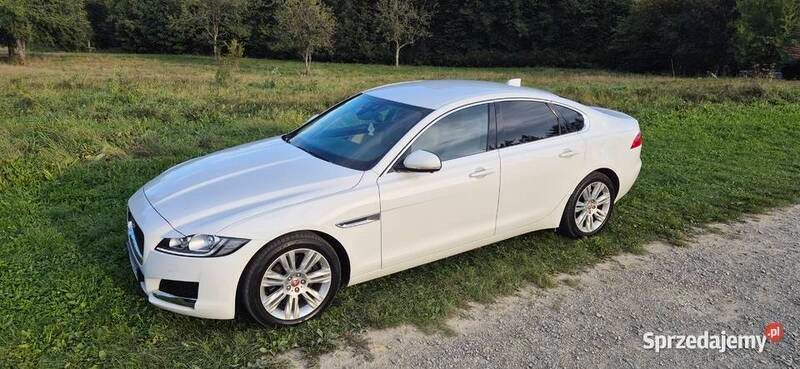 Używany 2016 Jaguar XF Portfolio Sedan/Limuzyna | 99 000 zł (Uczciwa cena) - Obraz 1/4