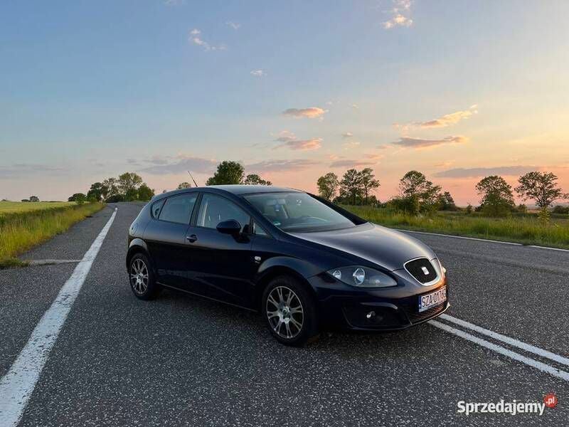 Używany Seat Leon 2010 Hatchback