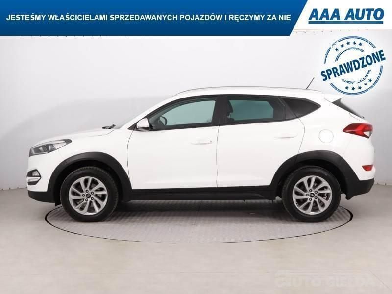 Obraz 4/4