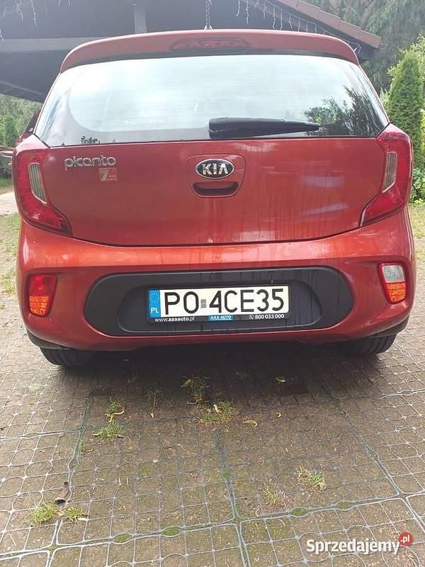 Pomarańczowy Używany 2017 Kia Picanto 2 Hatchback | 30 000 zł (Uczciwa cena) - Obraz 1/4