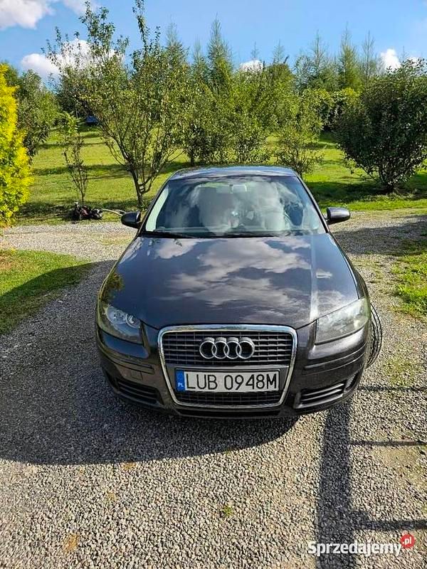 Grafitowy Używany 2007 Audi A3 Hatchback | 15 500 zł (Uczciwa cena) - Obraz 1/4