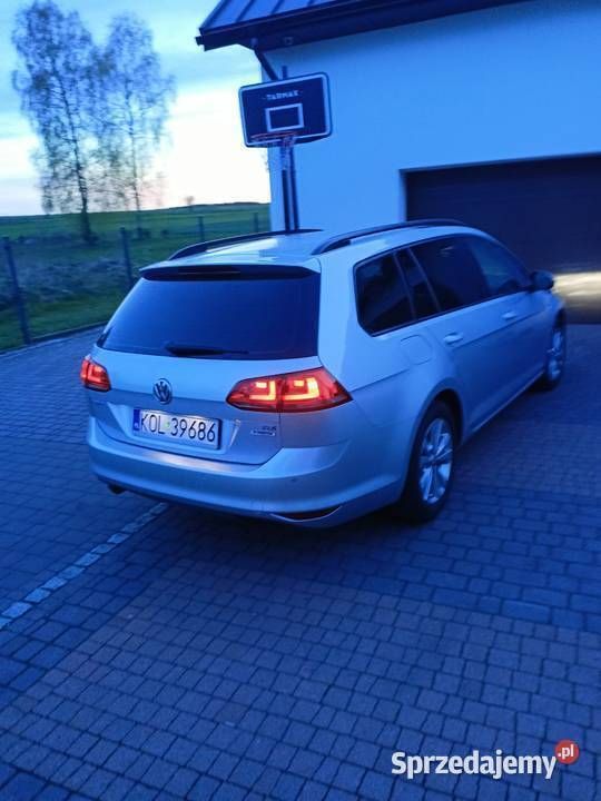 Używany 2016 VW Golf VII | 36 900 zł (Dość drogi) - Obraz 1/4