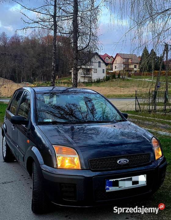 Obraz 4