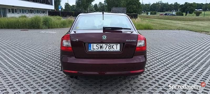 Obraz 4/4