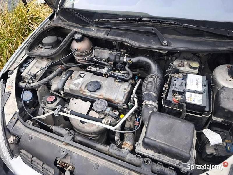 Używany Peugeot 206 75 KM (55 kW) 2003