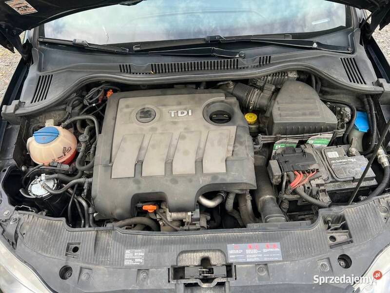Używany 2010 Seat Ibiza | 18 000 zł (Drogi) - Obraz 1/4