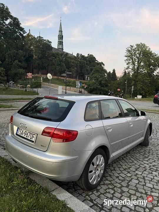 Srebrny Używany 2007 Audi A3 Hatchback | 16 800 zł (Uczciwa cena) - Obraz 1/4