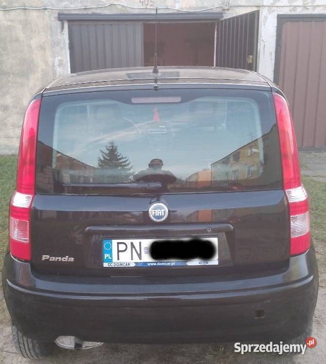 Używany 2009 Fiat Panda Hatchback | 9000 zł (Uczciwa cena) - Obraz 1/4