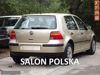 Używany VW Golf IV 105 KM (77 kW) 2003 Złoty Hatchback