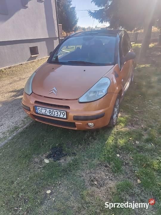 Obraz 3/3