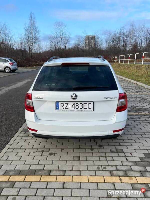 Obraz 3/4