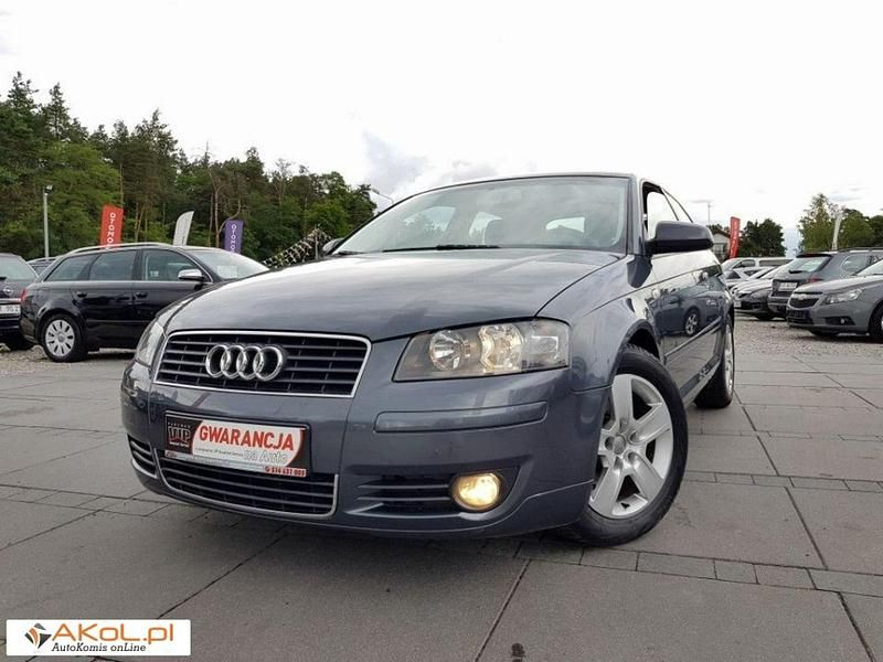 Szary (metalik, perła) Używany 2004 Audi A3 | 17 900 zł (Drogi) - Obraz 1/1