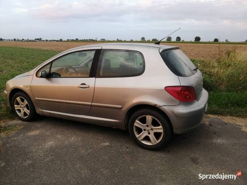 Używany Peugeot 307 2004