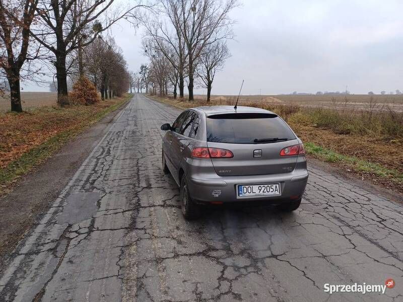 Używany 2004 Seat Ibiza | 6900 zł (Drogi) - Obraz 1/4