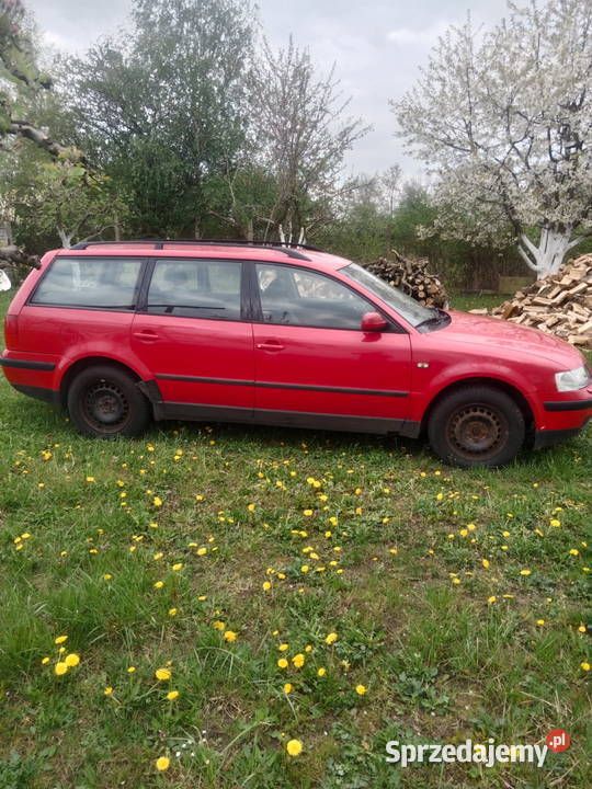 Używany 2000 VW Passat | 2000 zł (Uczciwa cena) - Obraz 1/4