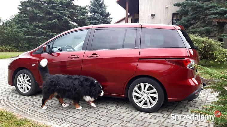 Używany Mazda 5 2011 Minivan