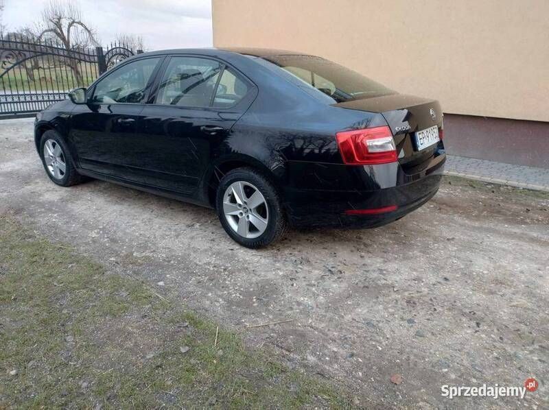 Czarny Używany 2019 Skoda Octavia Hatchback | 52 800 zł (Dość drogi) - Obraz 1/4