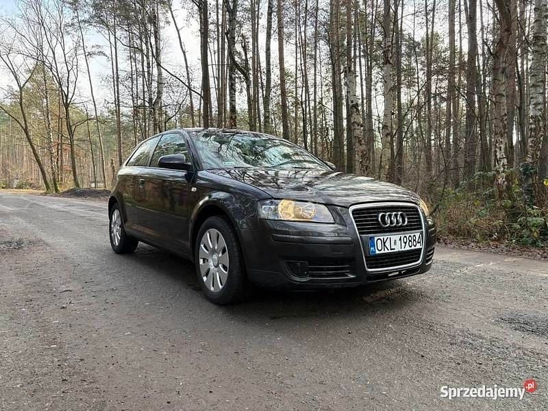 Czarny Używany 2005 Audi A3 Hatchback | 5300 zł (Dobra cena) - Obraz 1/4