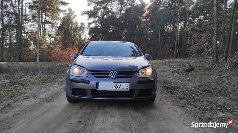 Używany VW Golf IV 2004 Szary Kombi