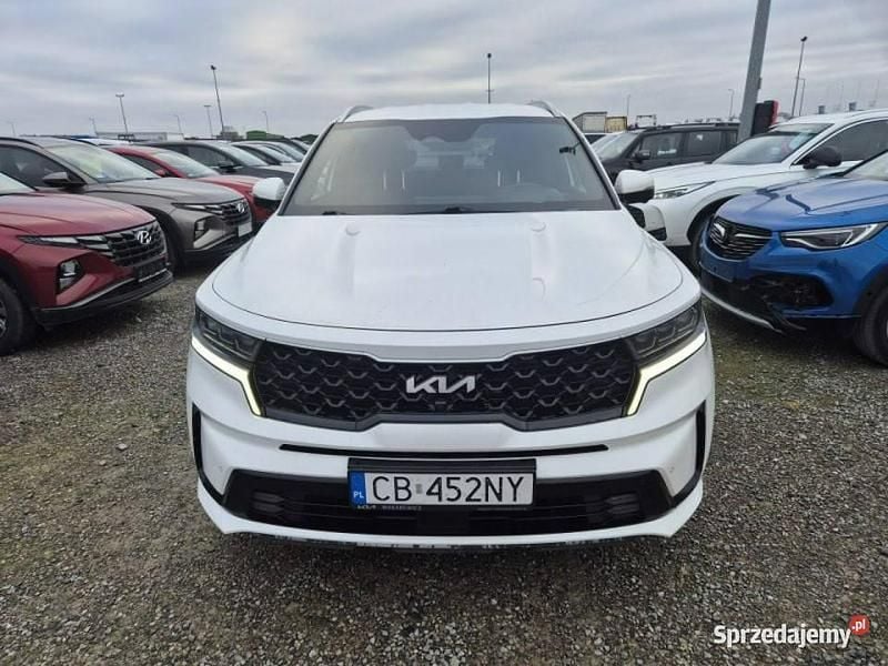 Biały Używany 2022 Kia Sorento SUV | 107 010 zł (Dość drogi) - Obraz 1/4