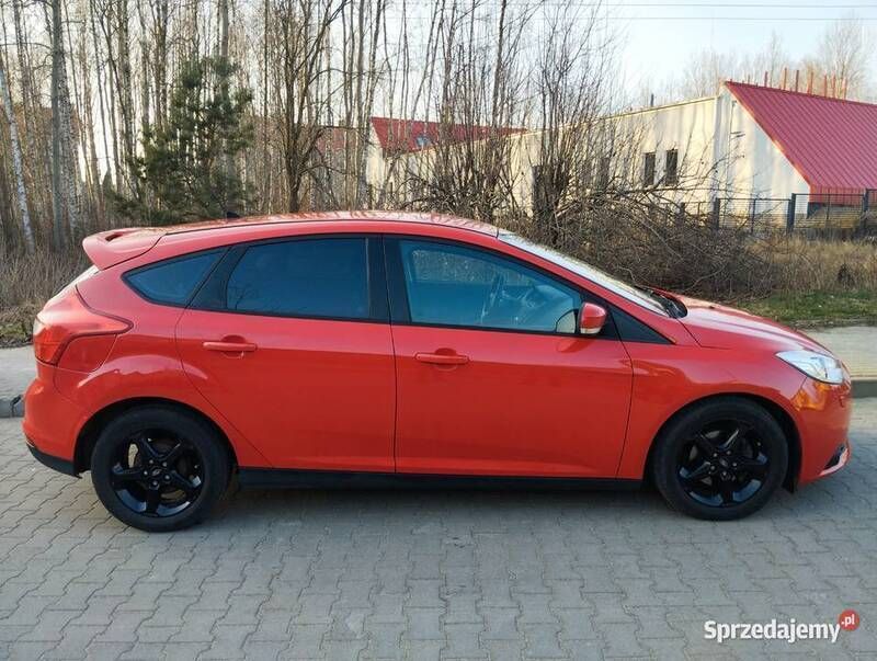 Obraz 3