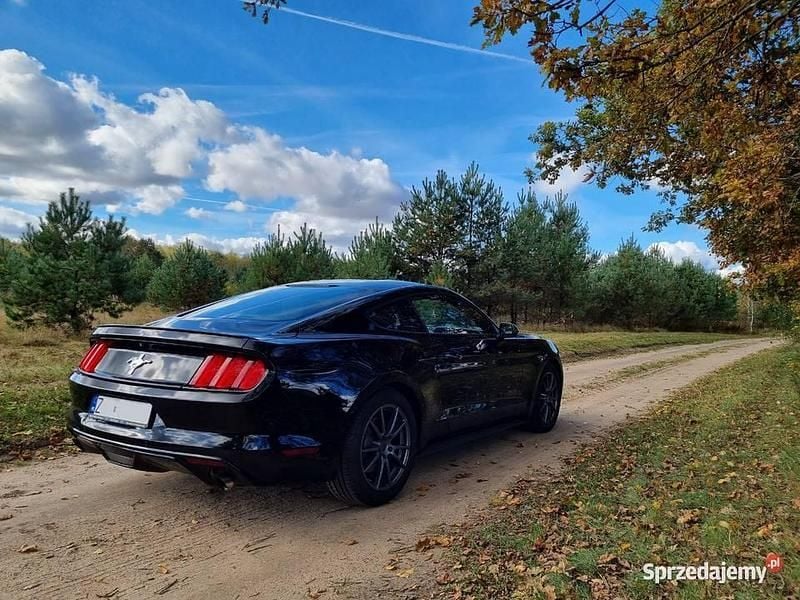 Używany 2015 Ford Mustang | 74 700 zł (Drogi) - Obraz 1/4