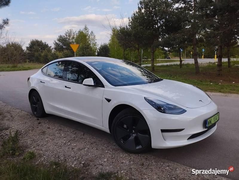 Używany Tesla Model 3 Standard Range Plus 208 kW (283 KM) 2021 Sedan/Limuzyna