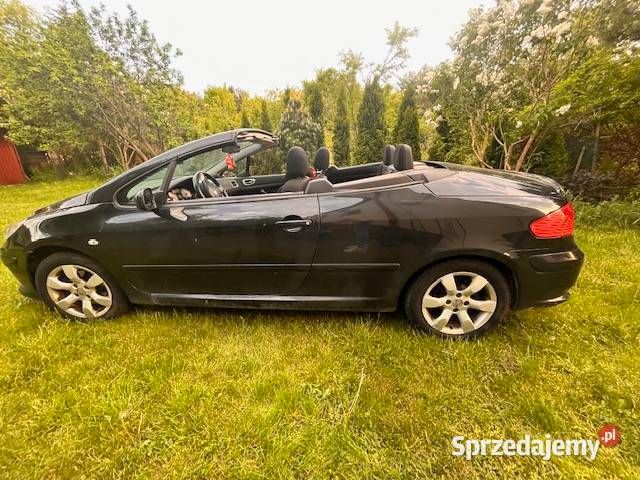 Używany 2007 Peugeot 307 Kabriolet | 13 000 zł - Obraz 1/2