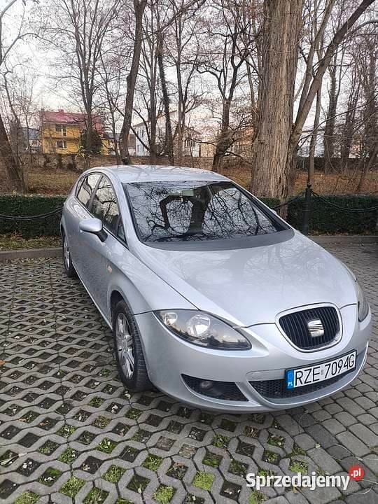 Srebrny Używany 2006 Seat Leon Hatchback | 9900 zł (Uczciwa cena) - Obraz 1/4
