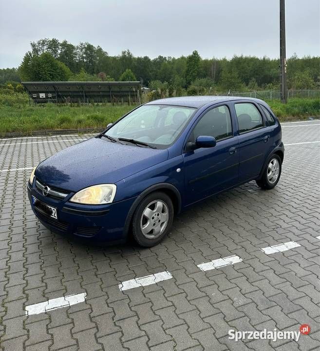Używany 2004 Opel Corsa Hatchback | 3800 zł (Uczciwa cena) - Obraz 1/4